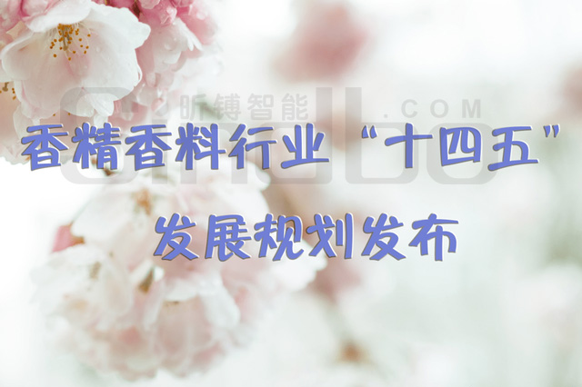 �㾫������ҵ��ʮ���塱��չ�滮����